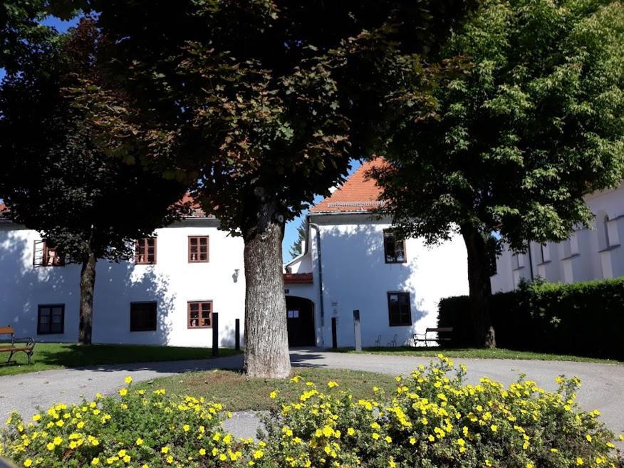 Lounge-Style-Hostel Sankt Veit an der Glan-i járás Kültér fotó